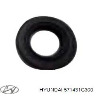 Купити 571431C300 Hyundai/Kia Сальник насосу г/п керма (ГПК)