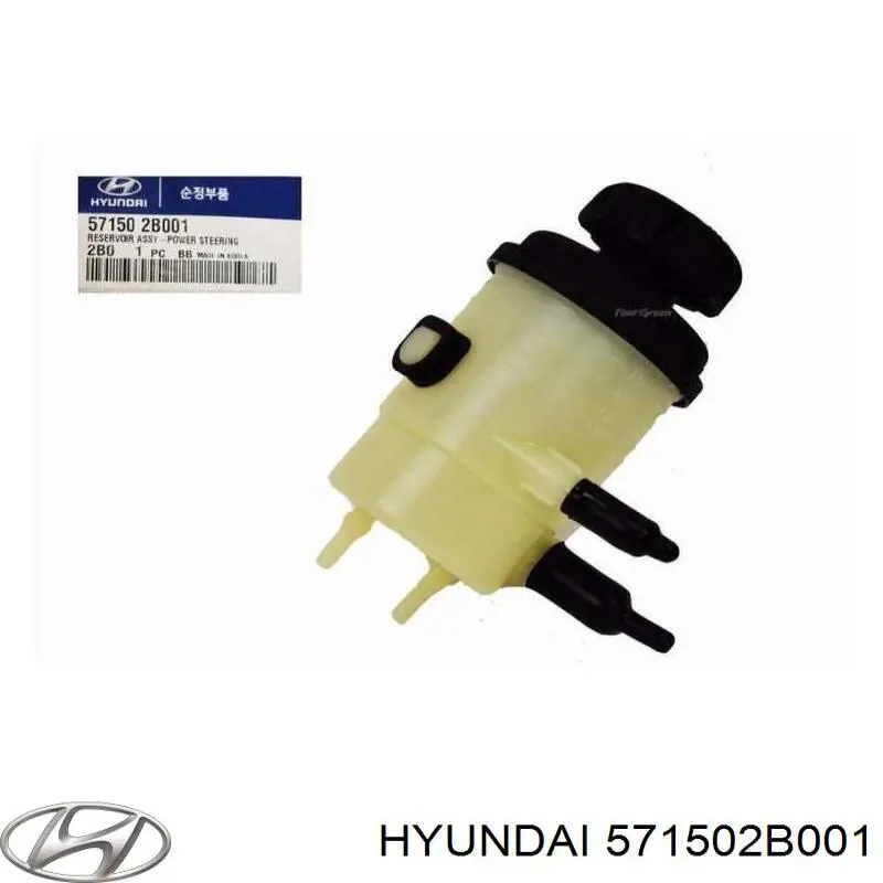 Бачок насосу гідропідсилювача керма Hyundai Santa Fe 2 (CM) (Хендай Санта фе)