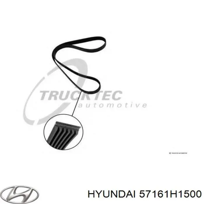 Купити 57161H1500 Hyundai/Kia Ремінь генератора