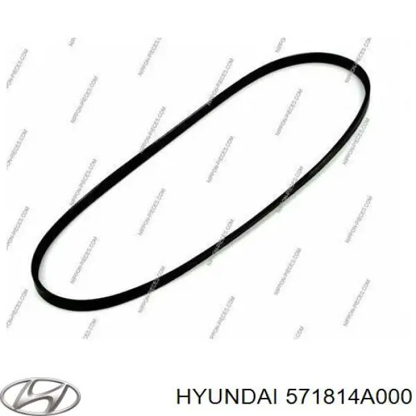 Купити 571814A000 Hyundai/Kia Ремінь генератора