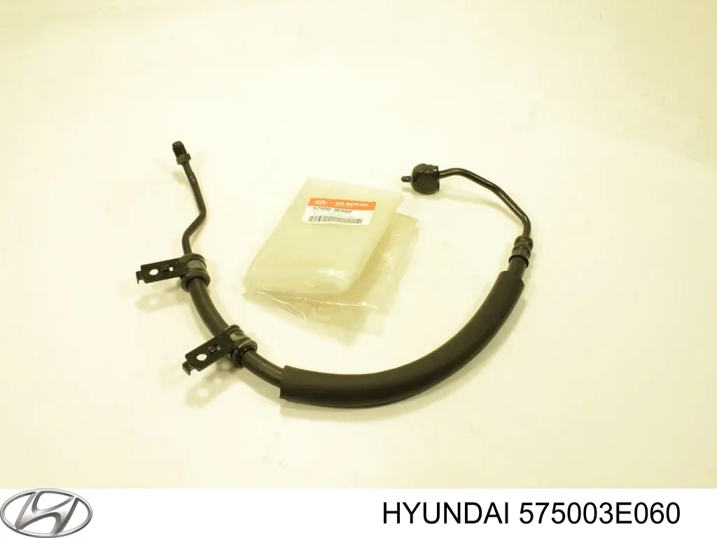Патрубок високого тиску гідропідсилювача Hyundai/Kia 575003E060 ціна, від 55.36 USD