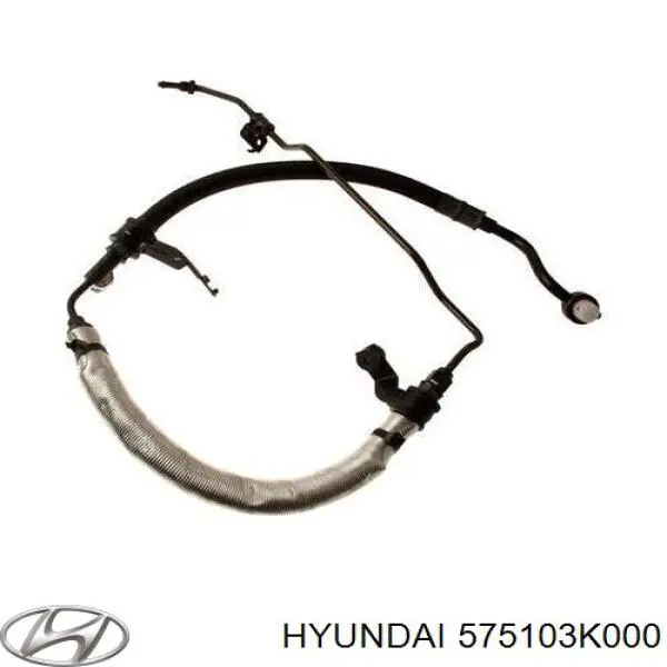 Патрубок високого тиску гідропідсилювача Hyundai/Kia 575103K000 ціна, від 166.03 USD