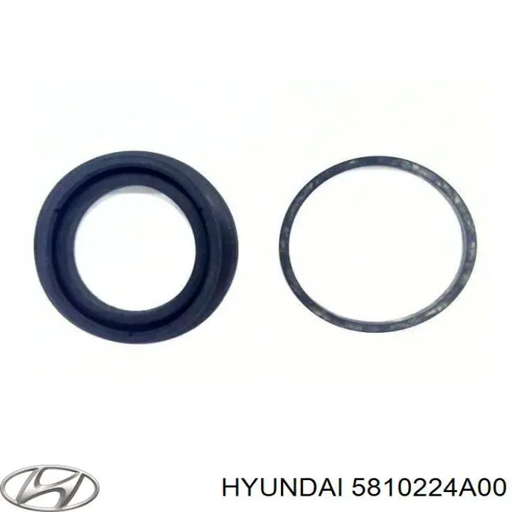 Купити 5810224A00 Hyundai/Kia Ремкомплект переднього супорту