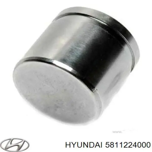 Поршень тормозного суппорта переднего  HYUNDAI 5811224000