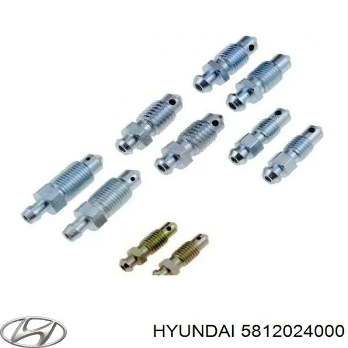 Штуцер прокачування супорту гальмівного, переднього Hyundai I20 (GB) (Хендай Ай 20)