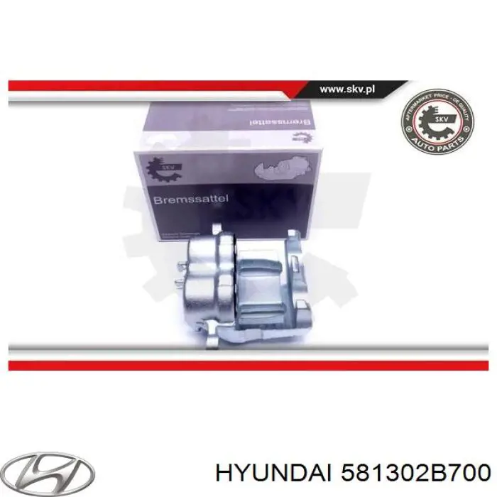 Купити 581302B700 Hyundai/Kia Супорт гальмівний передній правий