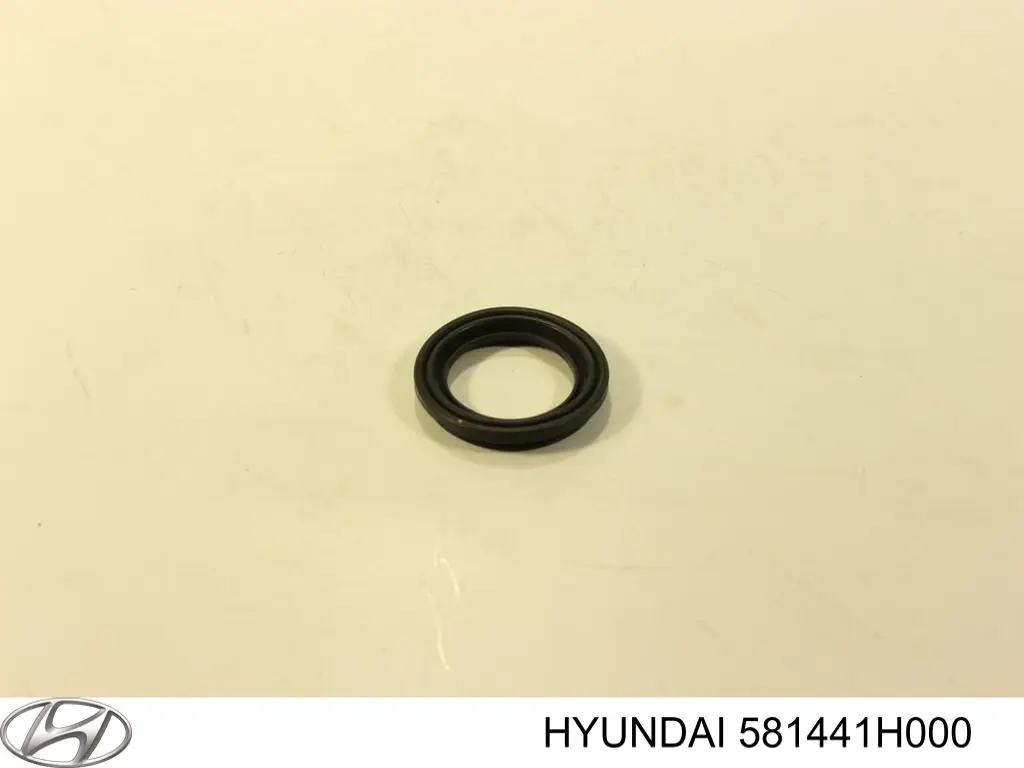 581441H000 Hyundai/Kia Комплект пружинок кріплення дискових колодок, передніх