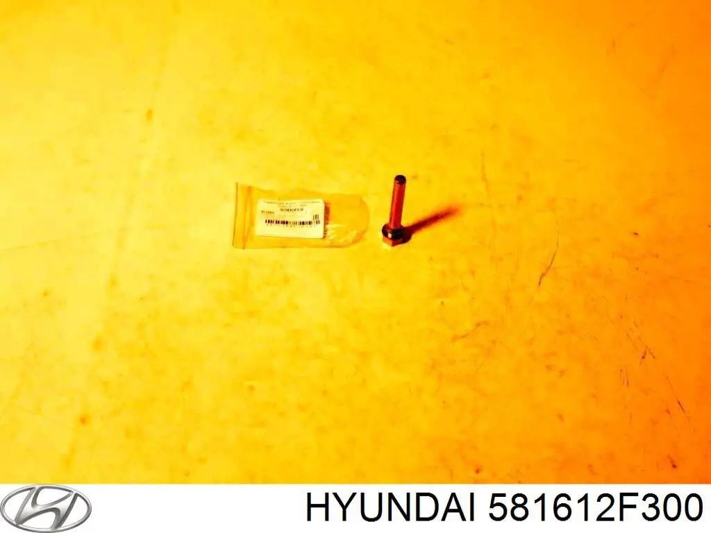 Направляюча супорту переднього, нижня TYB 581612F300 ціна, від 4.40 USD