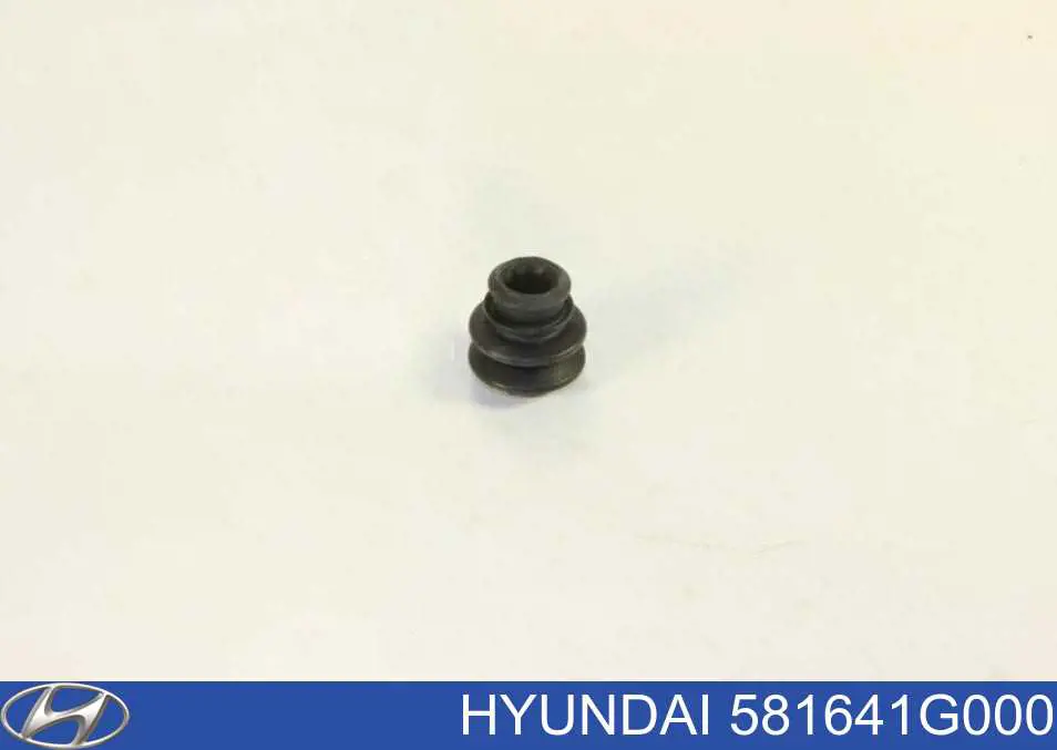 Купити 581641G000 Hyundai/Kia Пильник направляючої супортугальмівного, переднього