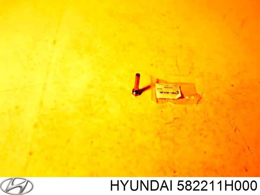 Направляюча супорту заднього Hyundai/Kia 582211H000 ціна, від 6.43 USD