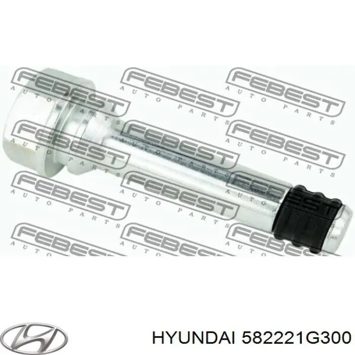 Направляюча супорту заднього, нижня Hyundai/Kia 582221G300 ціна, від 7.44 USD