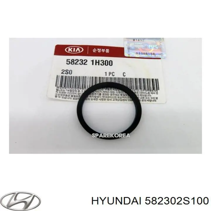 Супорт гальмівний задній правий Hyundai/Kia 582302S100 ціна, від 24.86 USD
