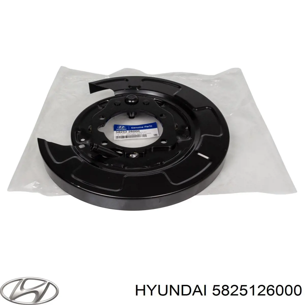 Захист гальмівного диска заднього, лівого Hyundai Santa Fe 1 (SM) (Хендай Санта фе)