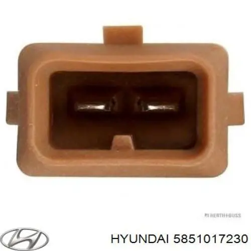 5851017230 Hyundai/Kia Циліндр гальмівний, головний