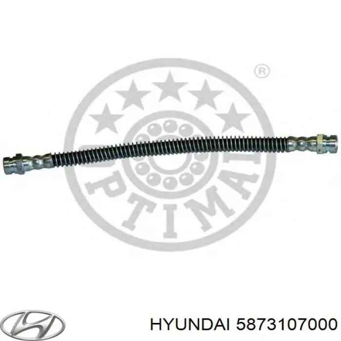 Купити 5873107000 Hyundai/Kia Гальмівні шланги передні