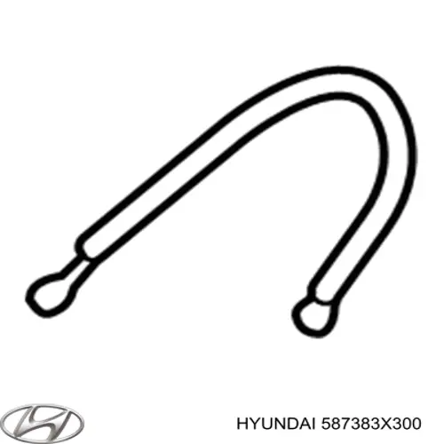 Шланг гальмівний задній, правий Hyundai Elantra (MD) (Хендай Елантра)