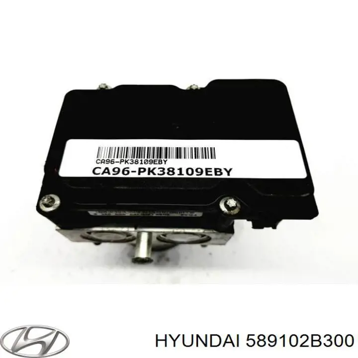 589102B300 Hyundai/Kia Блок управління АБС (ABS)