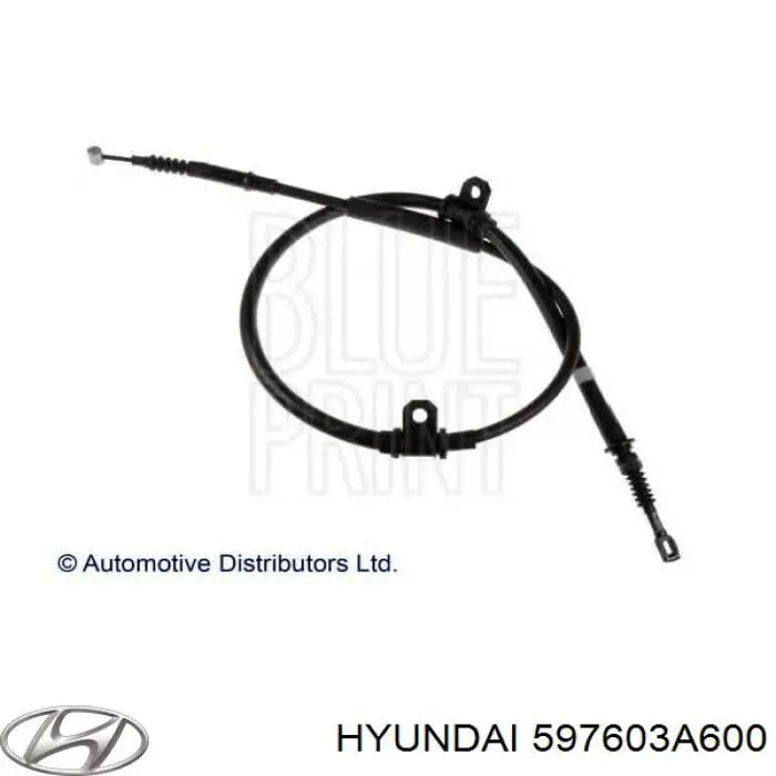 Купити 1310HH43L Ashika Трос ручного гальма задній, лівий