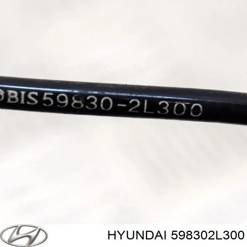 598302L300 Hyundai/Kia Сенсор АБС
