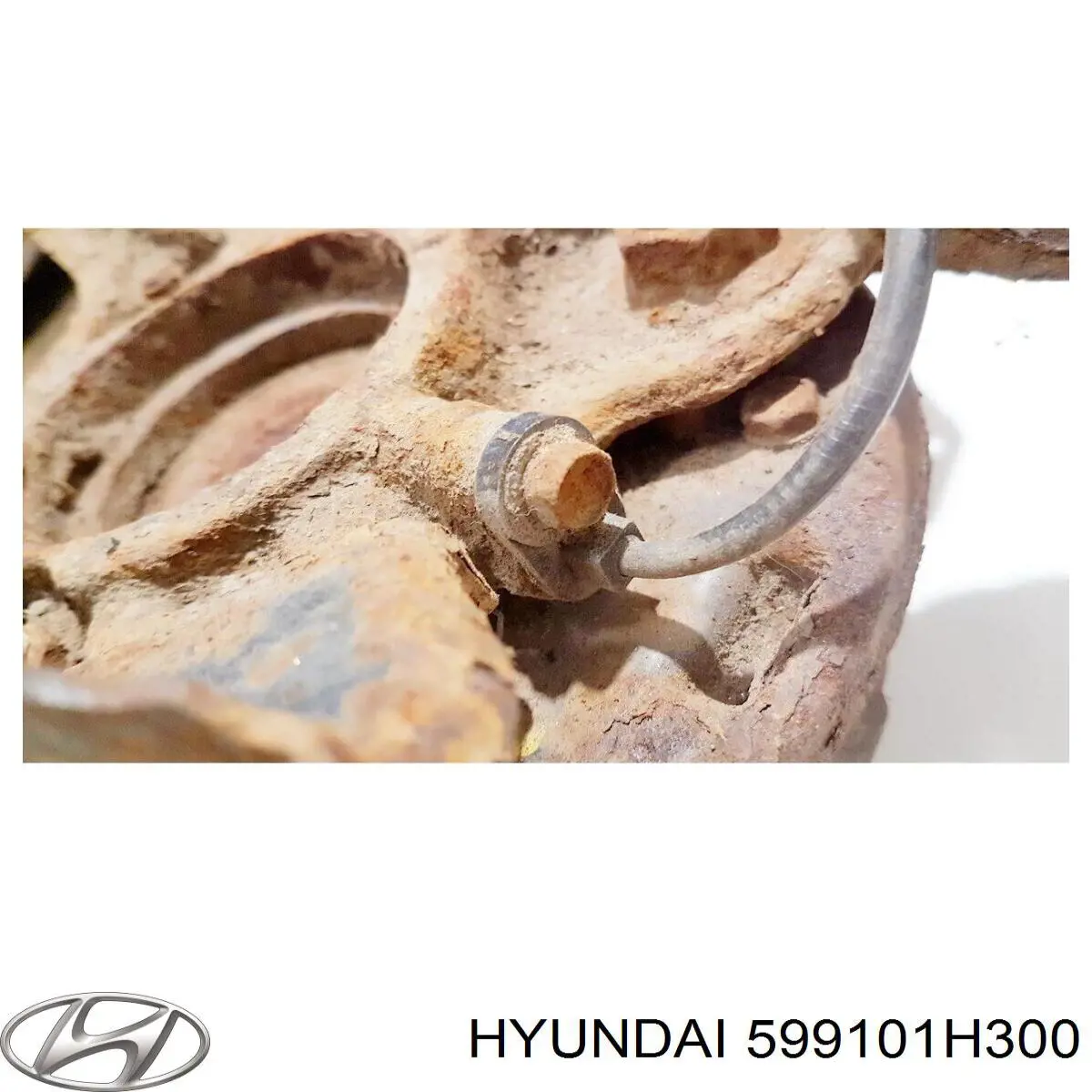 Датчик АБС (ABS) задній, лівий 599101H300 Hyundai/Kia