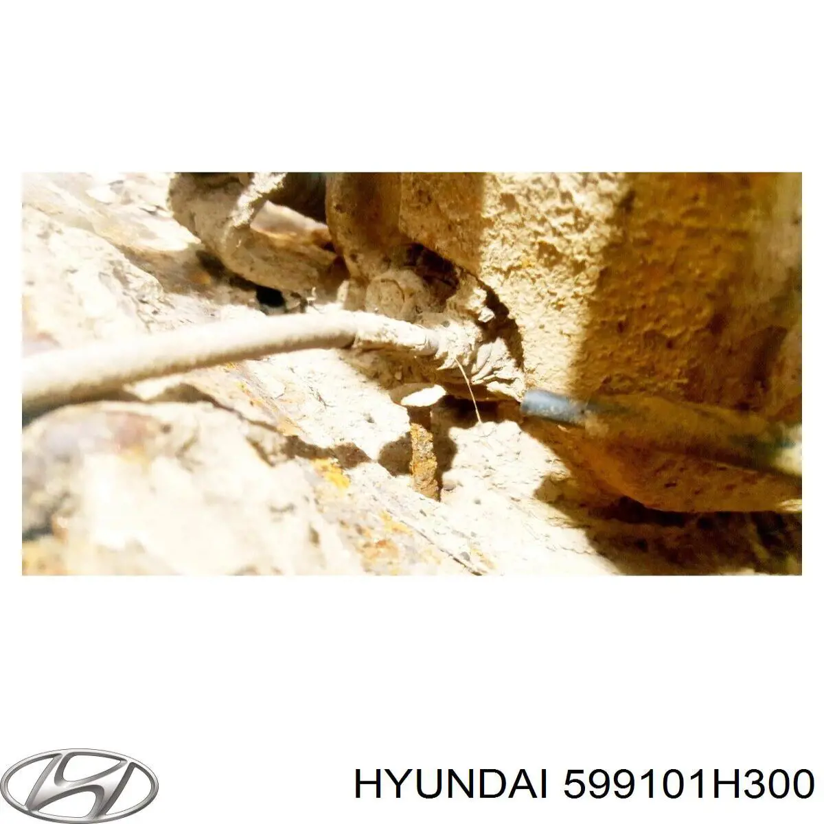 Купити 599101H300 Hyundai/Kia Датчик АБС (ABS) задній, лівий