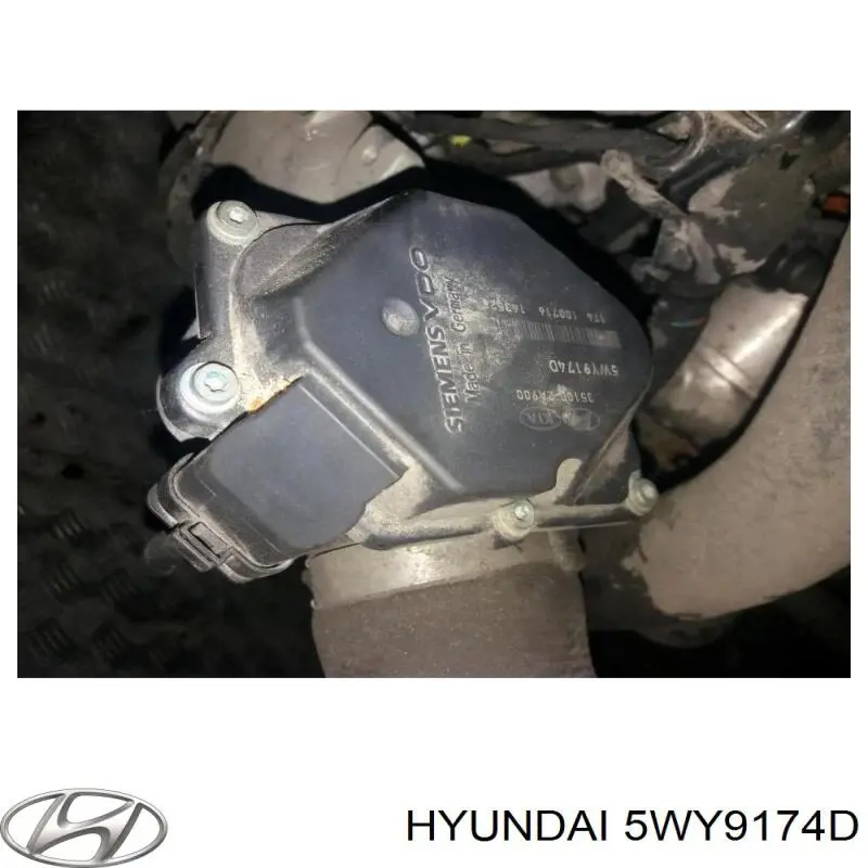 Дросільна заслінка 5WY9174D Hyundai/Kia