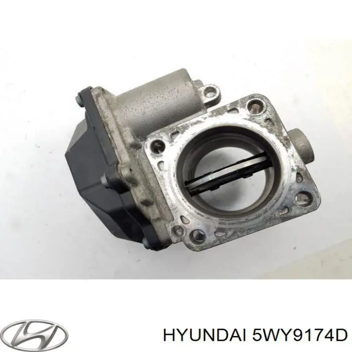 5WY9174D Hyundai/Kia Дросільна заслінка в зборі