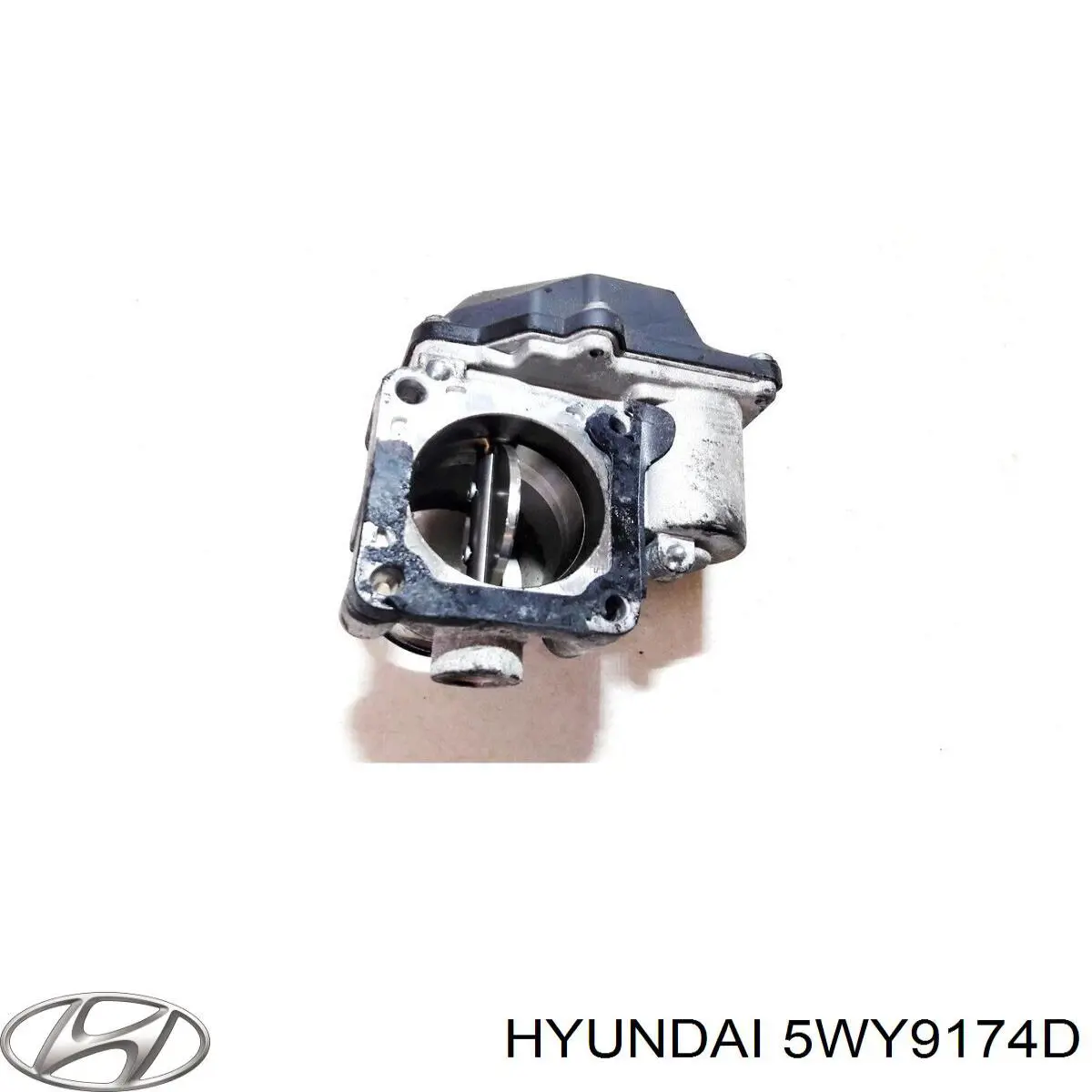Купити 5WY9174D Hyundai/Kia Дросільна заслінка