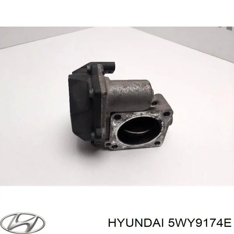 Купити 5WY9174E Hyundai/Kia Дросільна заслінка