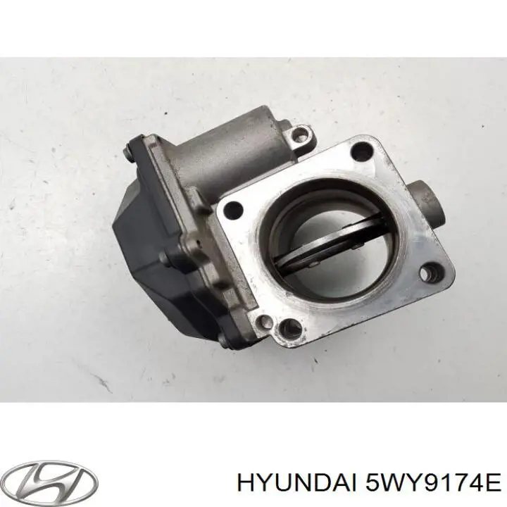 5WY9174E Hyundai/Kia Дросільна заслінка в зборі