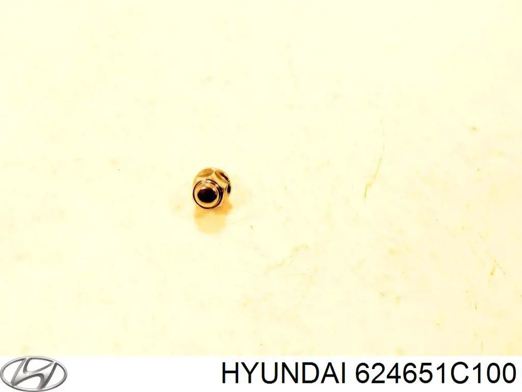  Hyundai/Kia 624651C100 ціна, від 17.88 USD