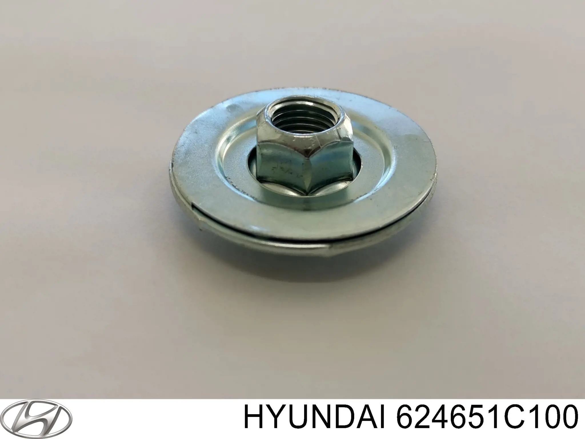  624651C100 Hyundai/Kia