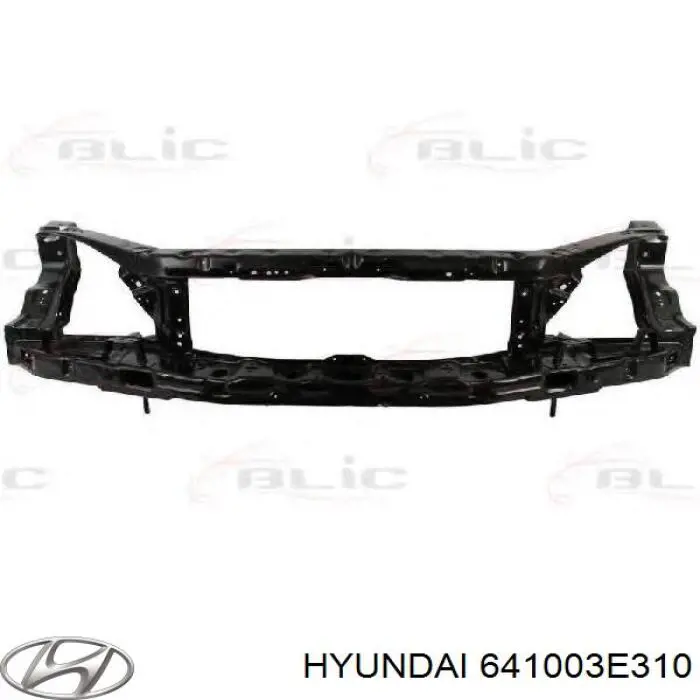 Купити 641003E310 Hyundai/Kia Установча панель передня