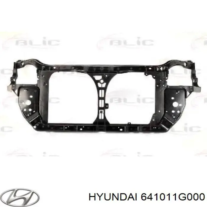 Купити 641011G000 Hyundai/Kia Установча панель передня