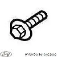 Панель передня Hyundai/Kia 64101C2000 ціна, від 96.76 USD