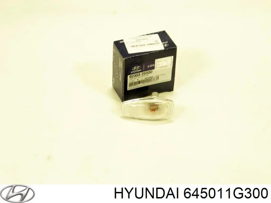 645011G300 Hyundai/Kia панель бризковика (лонжерону моторного відсіку, ліва)