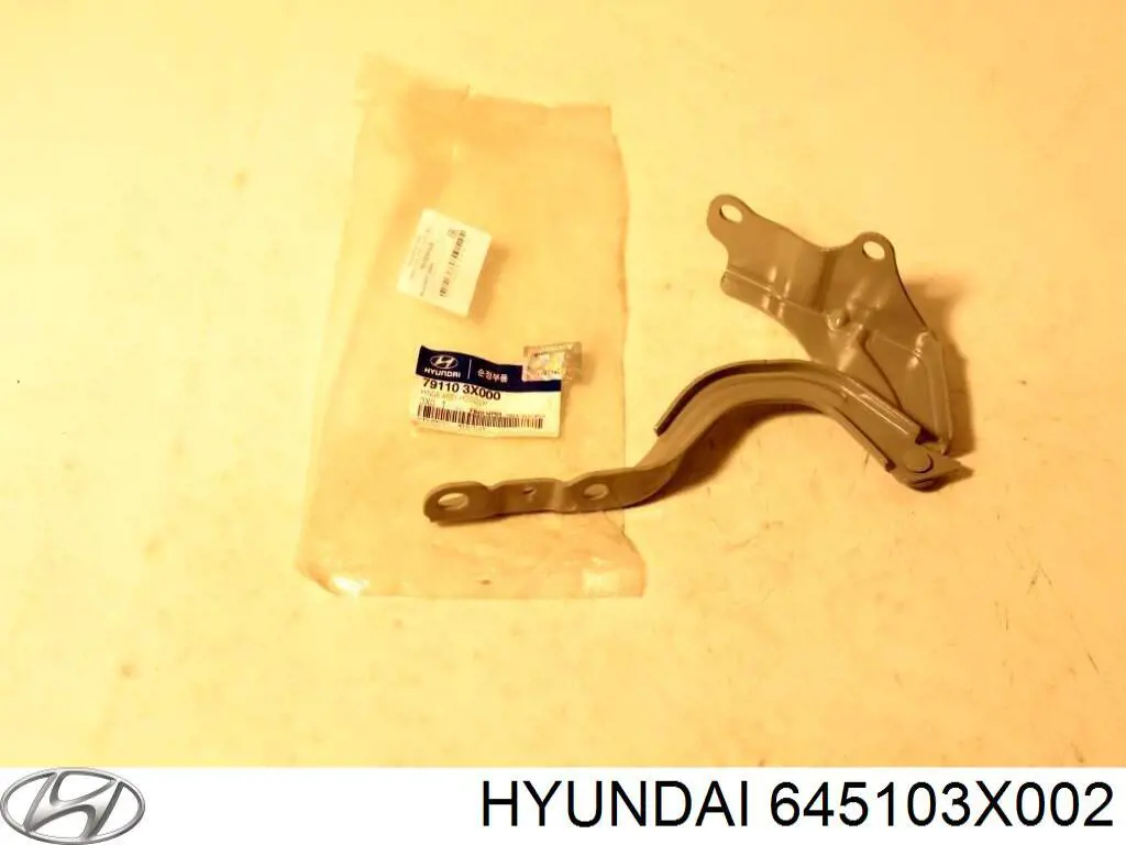 645103X002 Hyundai/Kia панель бризковика (лонжерону моторного відсіку, ліва)