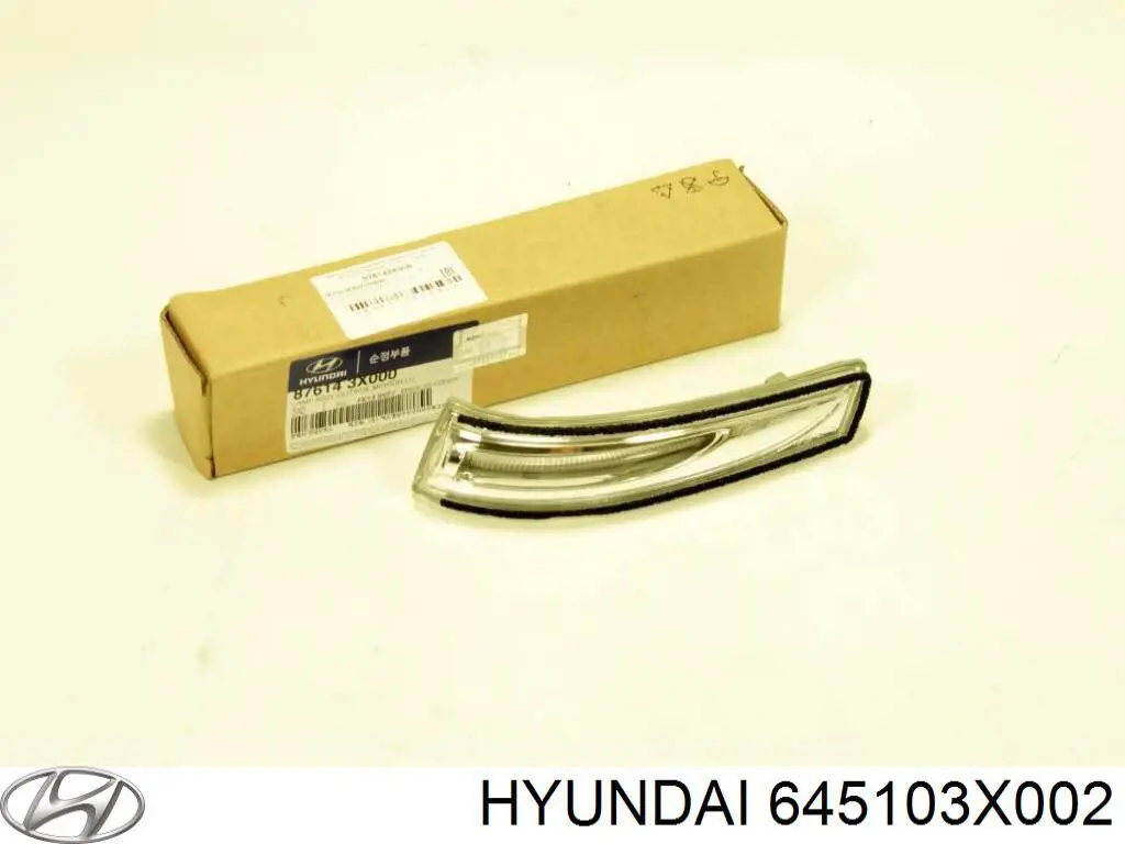 Панель бризковика моторного відсіку, ліва Hyundai/Kia 645103X002 ціна, від 193.23 USD