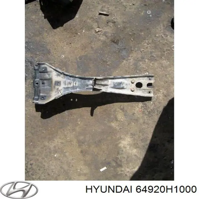 Супорт радіатора вертикальний/монтажна панель кріплення фар Hyundai Terracan (HP) (Хендай Терракан)