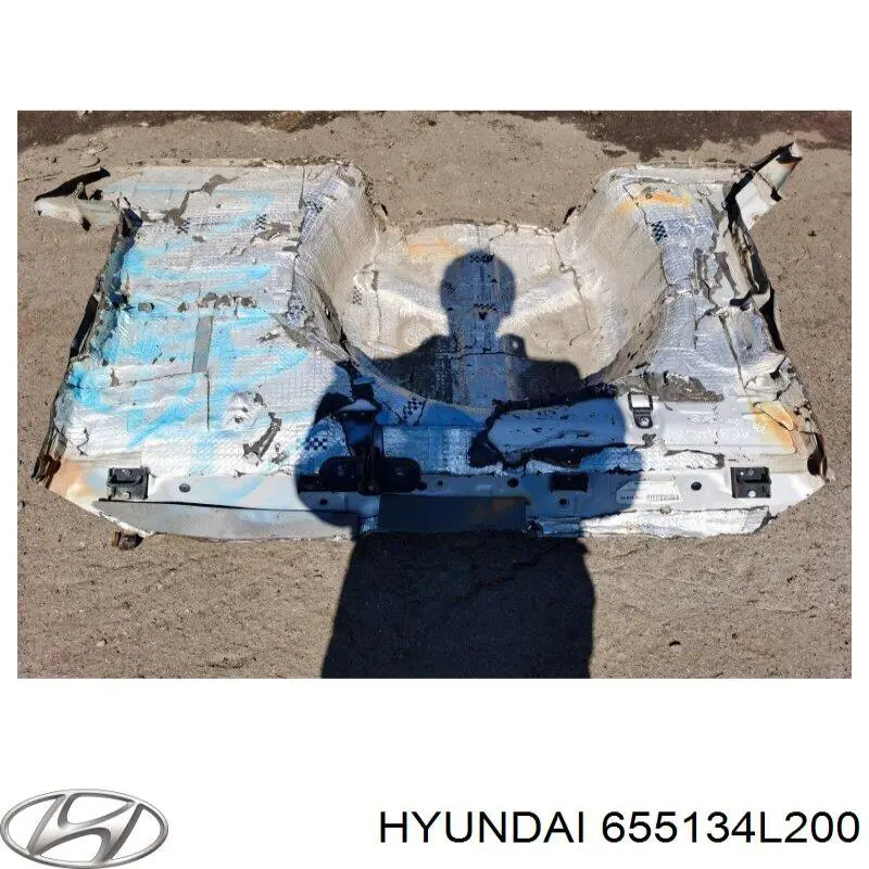 Ніша запасного колеса Hyundai/Kia 655134L200 ціна, від 69.44 USD