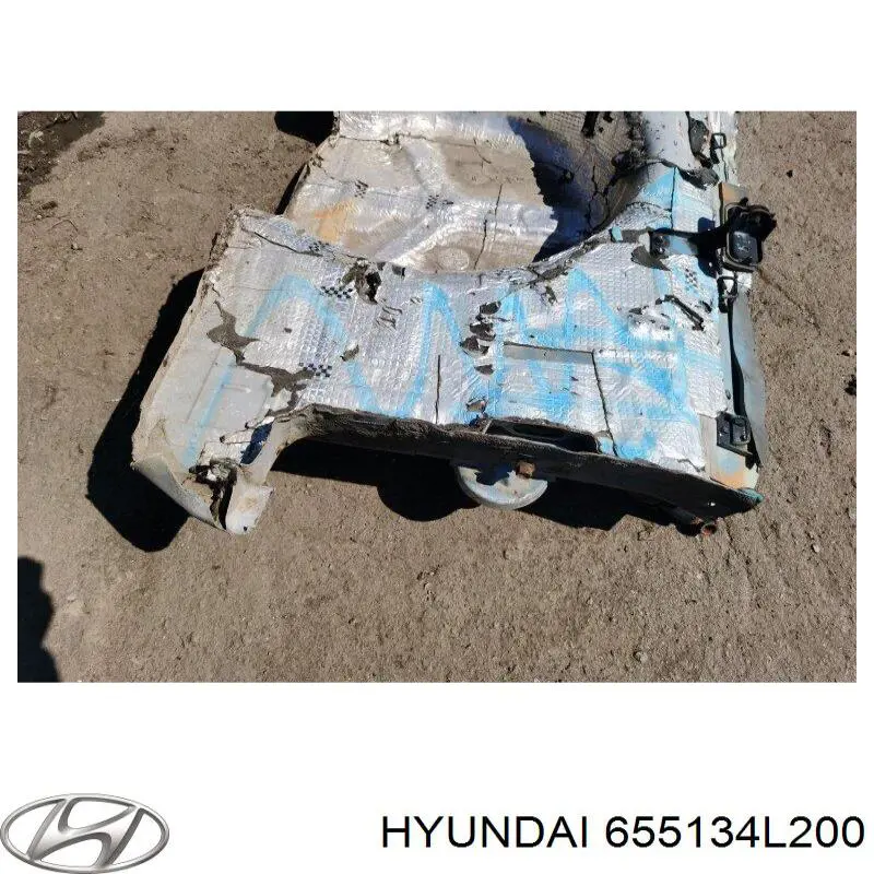 655134L200 Hyundai/Kia Днище багажника / ніша запасного колеса