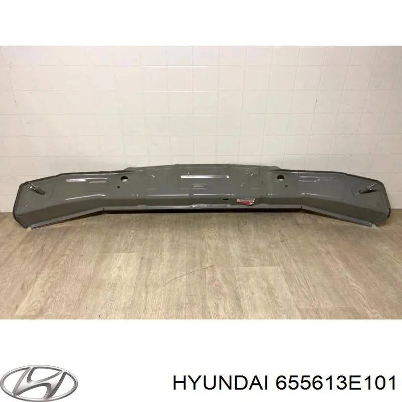 655613E101 Hyundai/Kia 