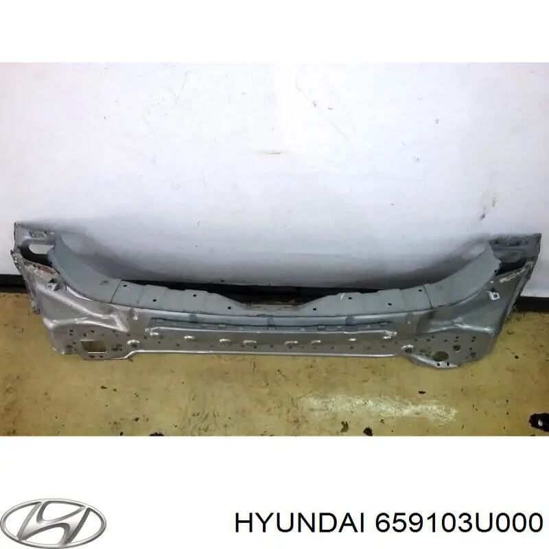Задня панель багажника Hyundai/Kia 659103U000