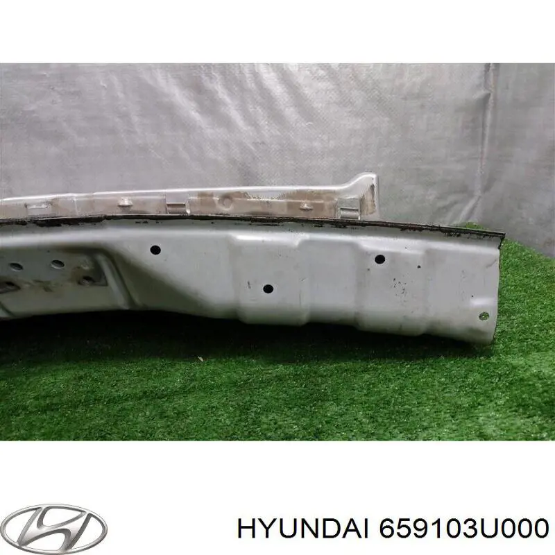 Купити 659103U000 Hyundai/Kia Панель багажного відсіку