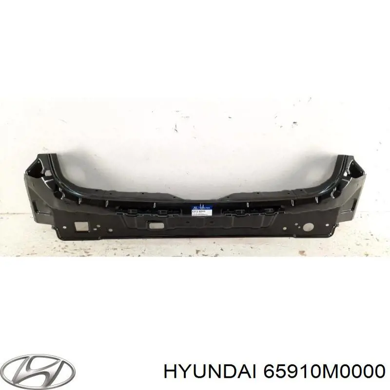 Купити 65910M0000 Hyundai/Kia 