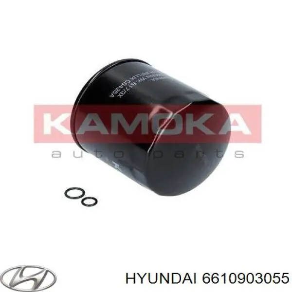 6610903055 Hyundai/Kia фільтр паливний