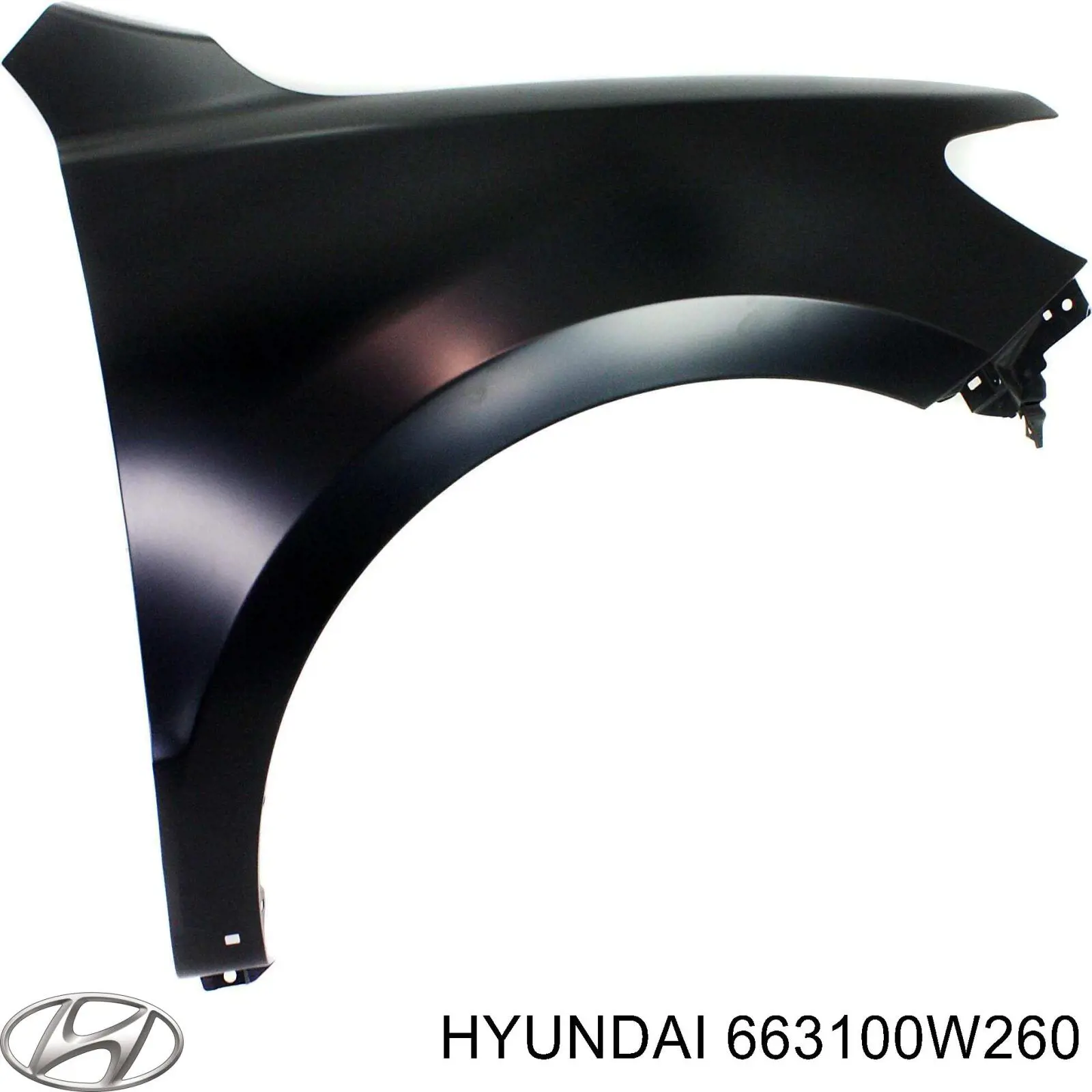 663100W260 Hyundai/Kia крило переднє ліве
