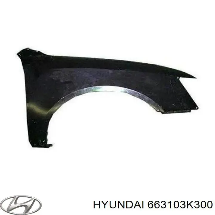 Купити 663103K300 Hyundai/Kia Крило переднє ліве