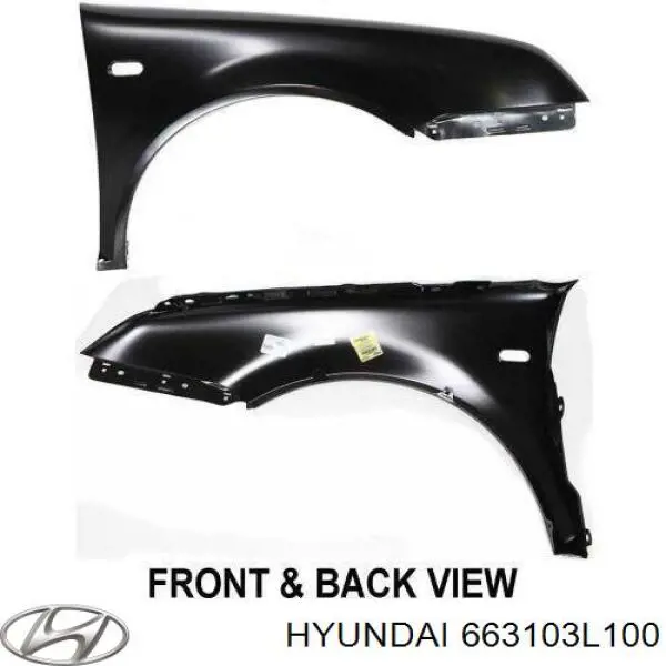 Купити 663103L100 Hyundai/Kia 