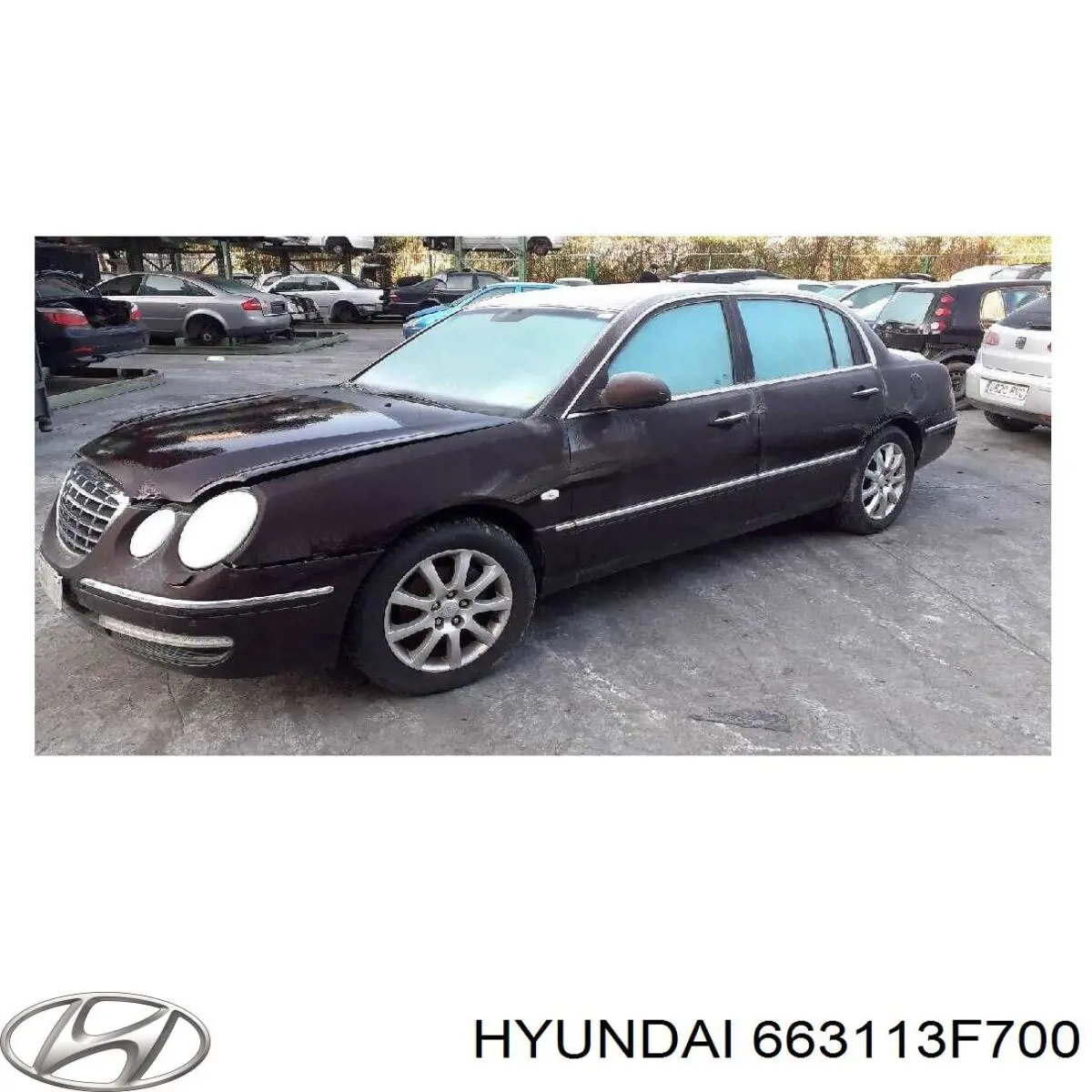 Бічна частина передня ліва Hyundai/Kia 663113F700